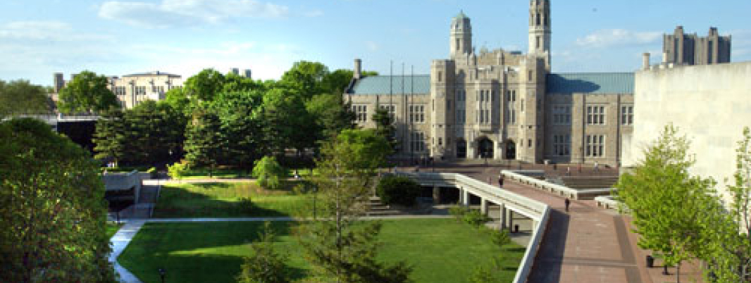 Lehman College MSA