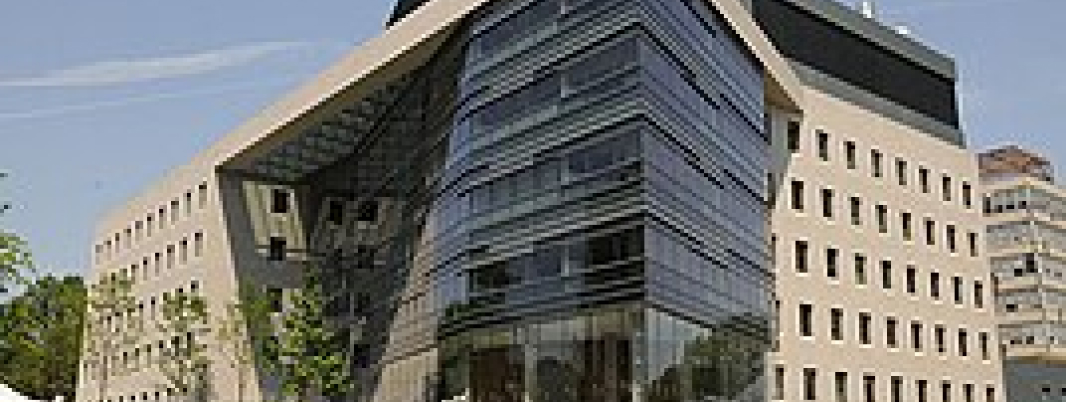 Albert Einstein College of Medicine MSA