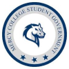 Mercy College MSA logo