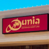 Dunia logo