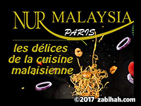 Nur Malaysia Paris logo