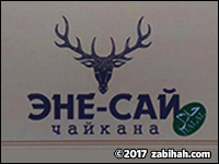 Enesay logo