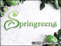 Springreens @ Community Café logo