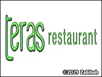 Teras logo