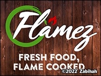 Flamez logo