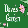 Dave's Garden Halal Chinese logo