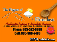 Sagarmatha Curry Palace logo