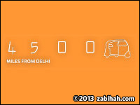 4500 Miles From Delhi logo