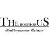 The Bosphorus logo