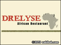 Drelyse logo