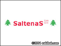 Saltenas logo
