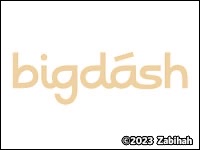 BIg Dash logo