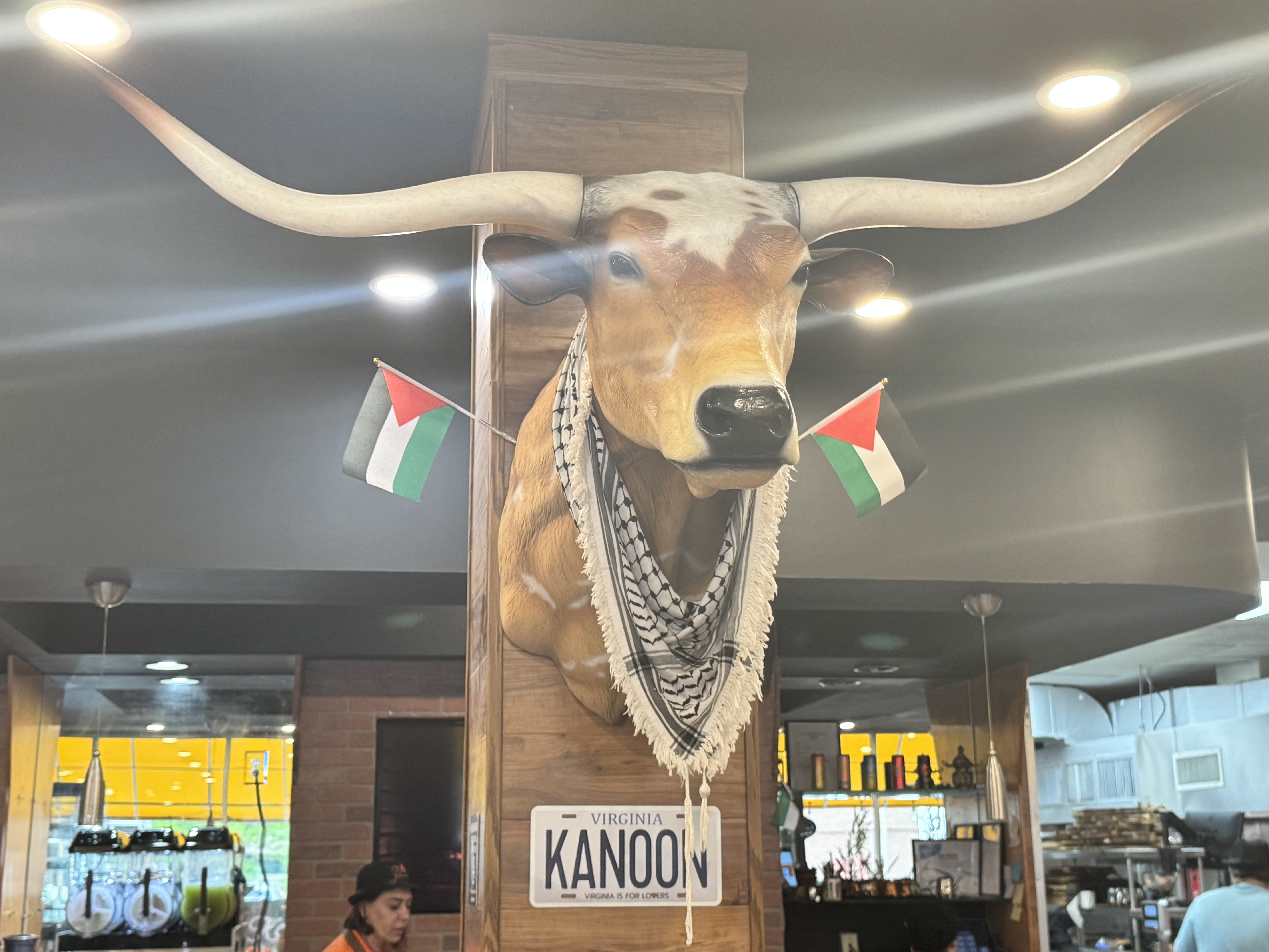 Photo of Kanoon